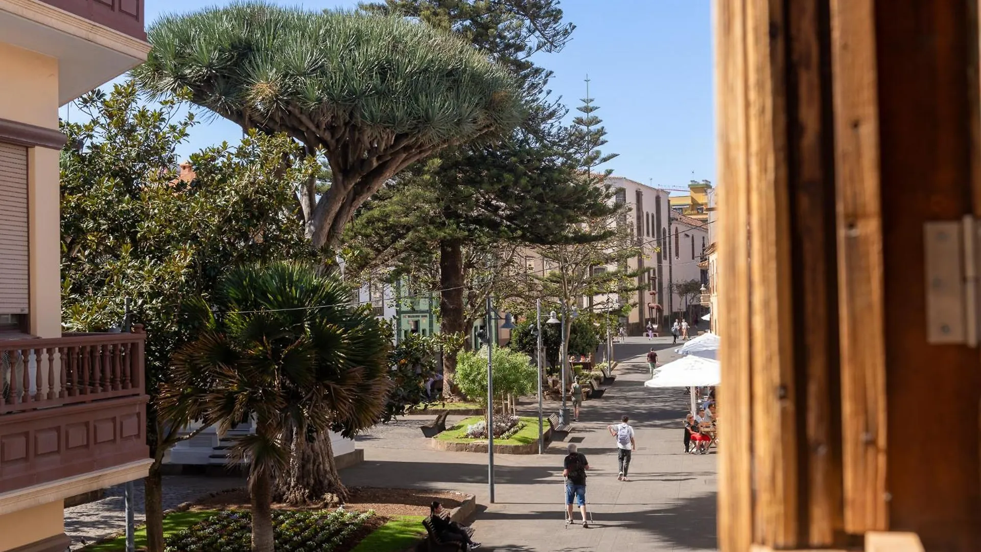 فندق La Casa De La Camelia لا لاغونا