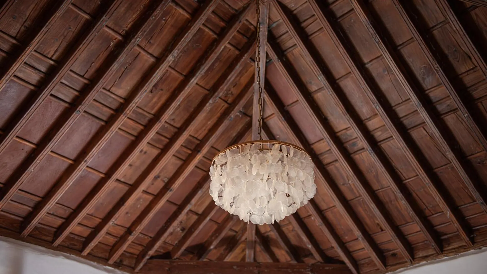 فندق La Casa De La Camelia لا لاغونا
